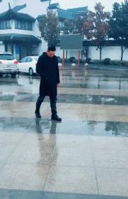 老鼠贴粘老鼠会死吗,老鼠贴粘到猫会自动掉吗