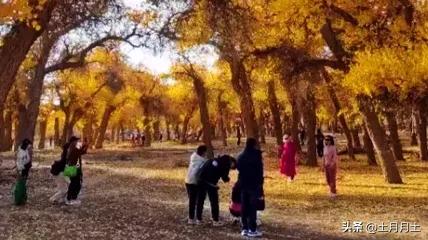 上班时间小职员被老板抓,上班时间被老板抓到玩游戏怎么办