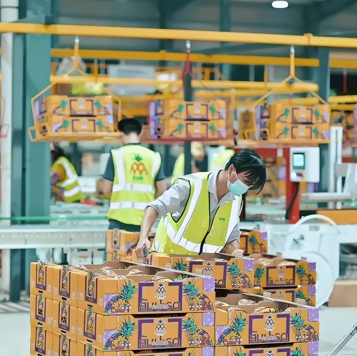 买凤梨是去头称重吗,买凤梨什么意思