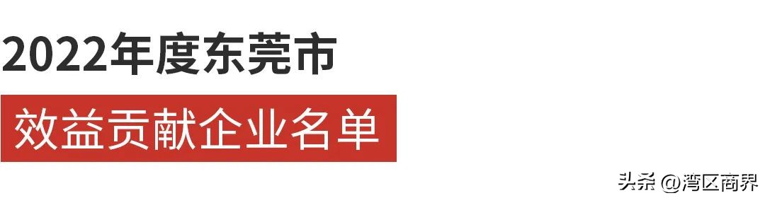 东莞开发商最新排行榜,东莞十大独角兽企业