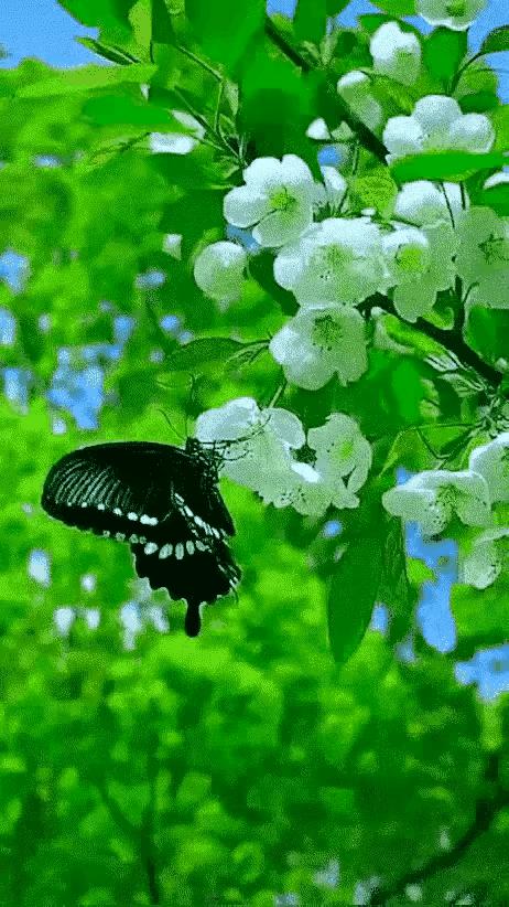 怎样看清男友的真实面目,如何看清一个人的真面目