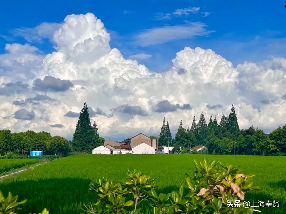 九月的第一天阳光灿烂,九月的第一天有点甜