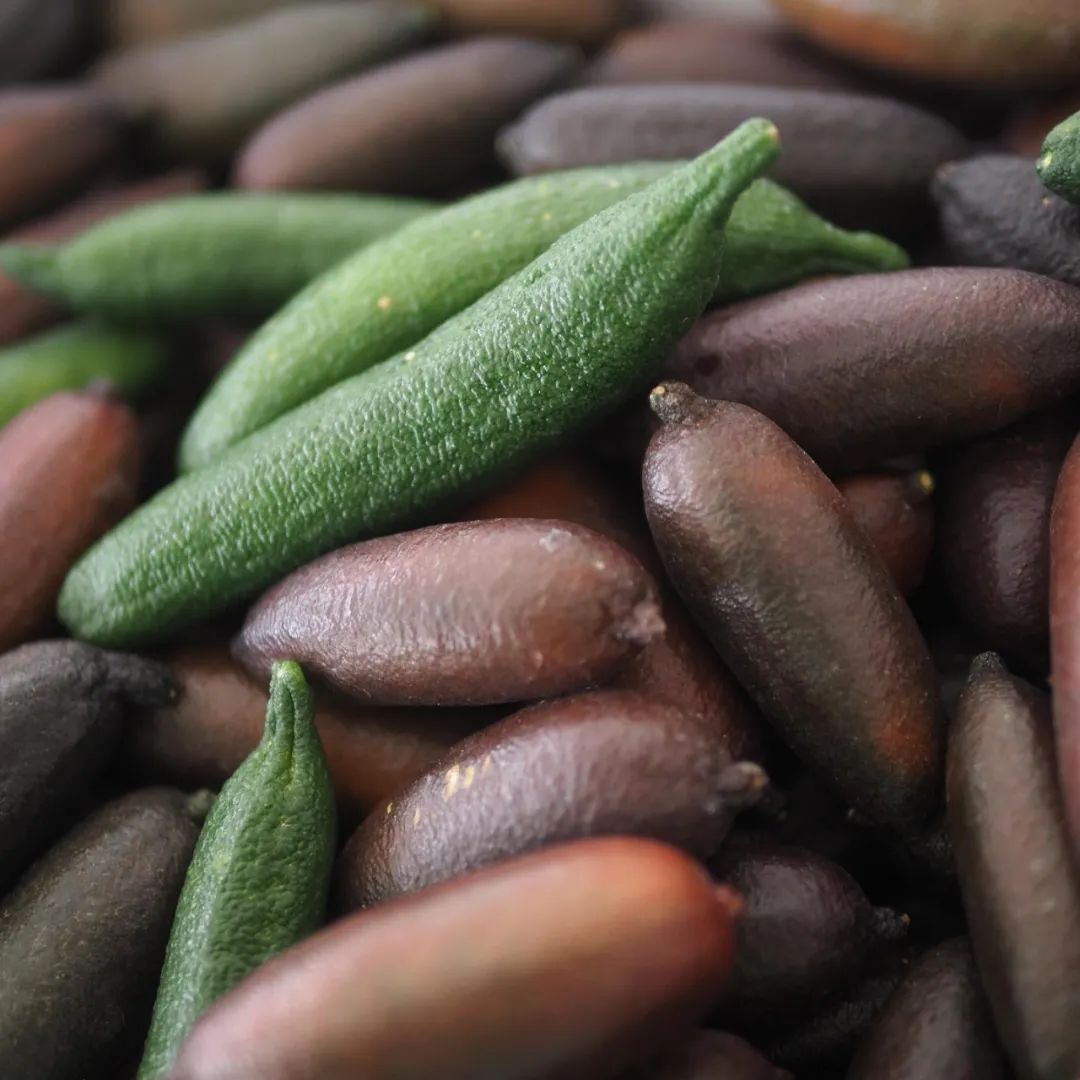 爱马仕水果做法,爱马仕水果做法大全