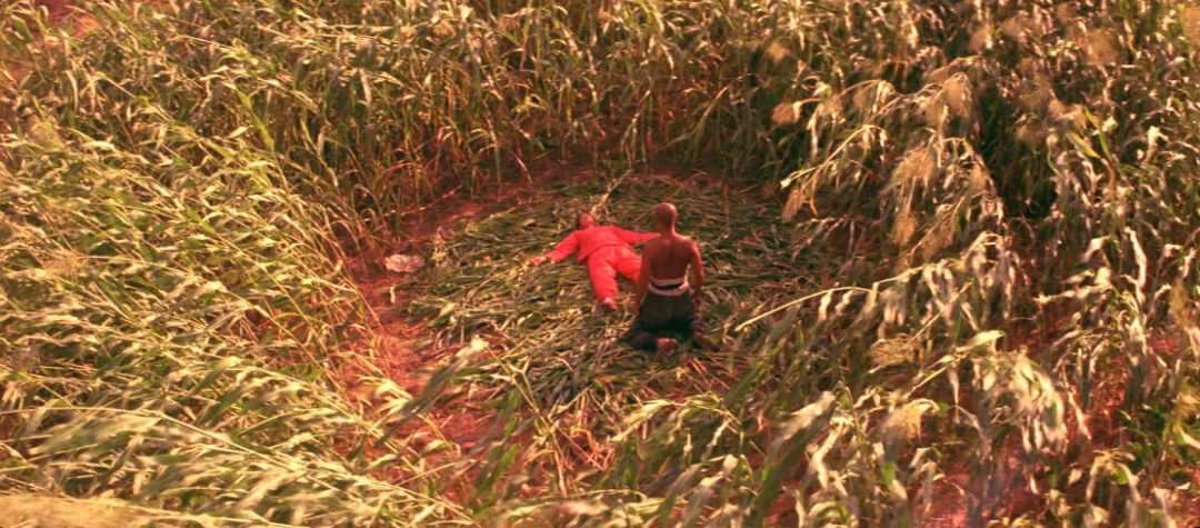 读懂莫言的5句话,讨论莫言的红高粱