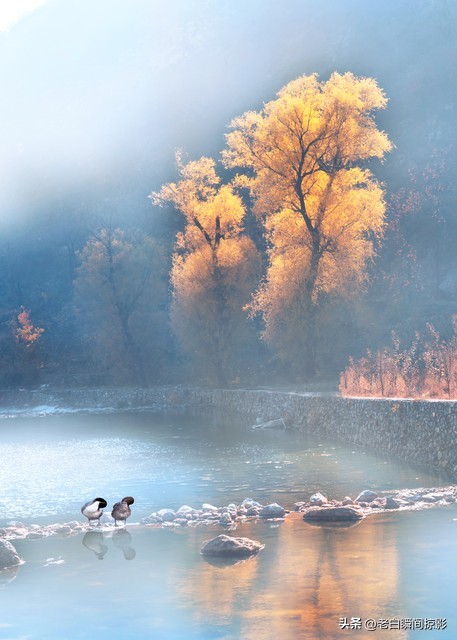 你的闪光点胜过一切,你身上的闪光点难以忘怀