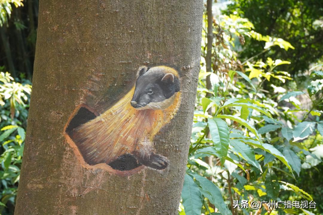 广州室内避暑的地方,广州夏日避暑胜地