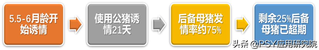 后备母猪不怀孕最佳治疗方法,后备母猪不发情怎么办小妙招