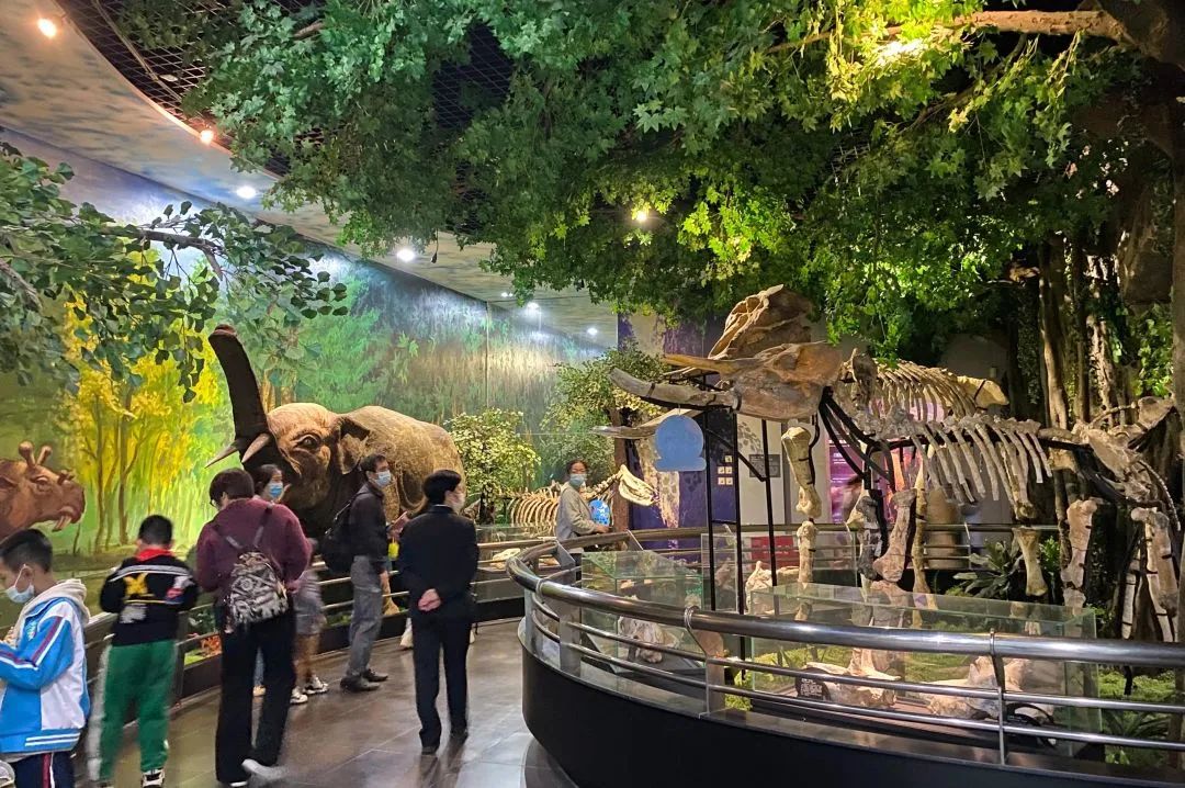 给学校双减及课后服务工作的建议,课后服务推动双减政策落地落实