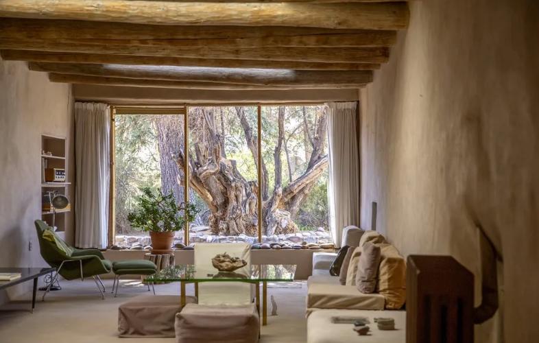 世界知名女画家独居沙漠35年！拒毕加索登门…网友：连家都是艺术