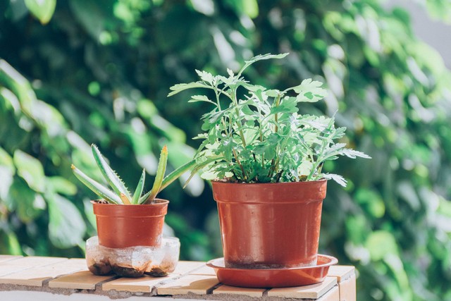 不想跟小人共事怎么跟领导说,遇到小人但是必须和他共事