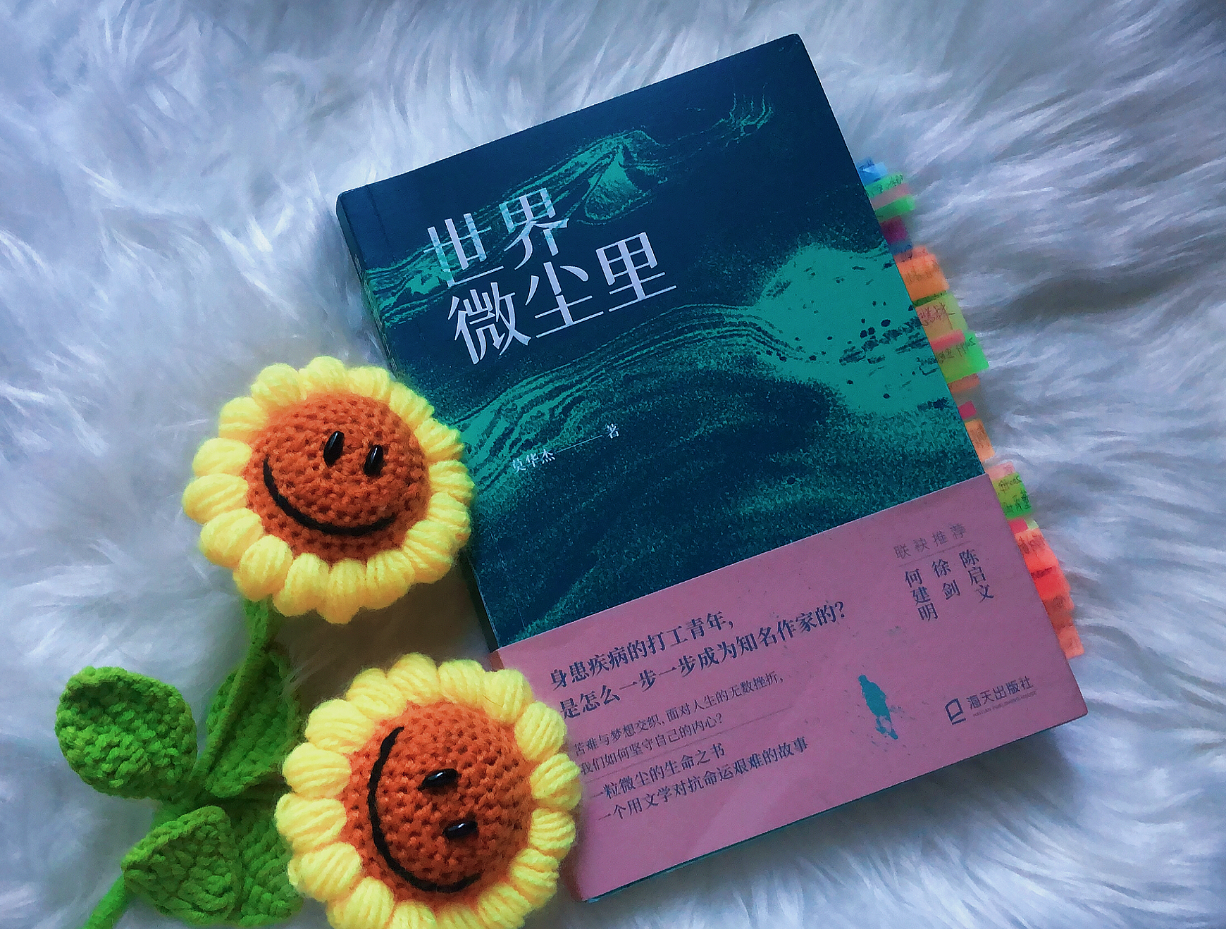 世界微尘里生无可恋,世界微尘里经典语录