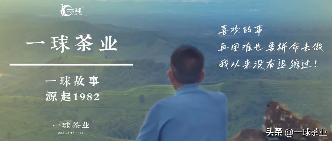 什么是普洱茶的喉韵,什么是普洱茶的渥堆味