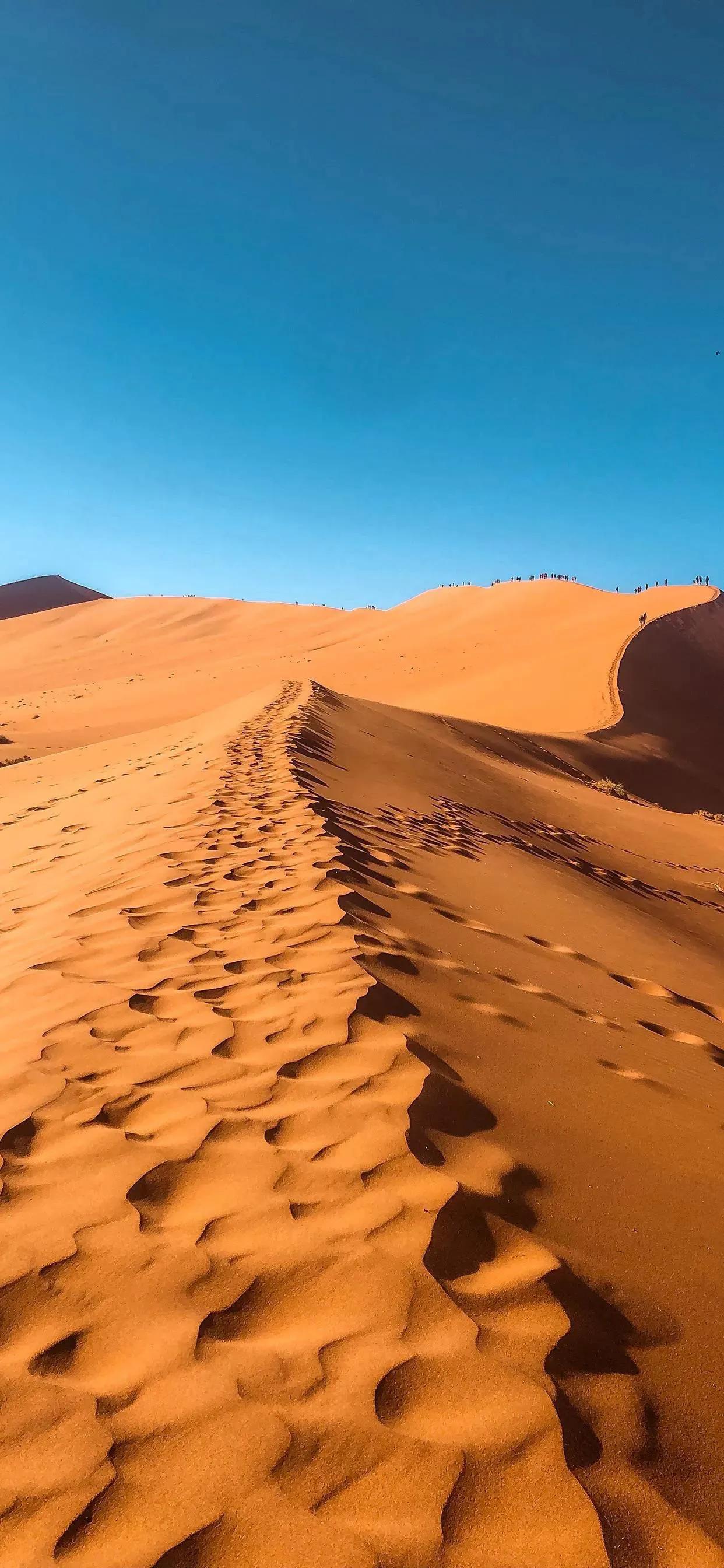 沙漠壁纸图片大全高清,苹果专用沙漠壁纸全屏