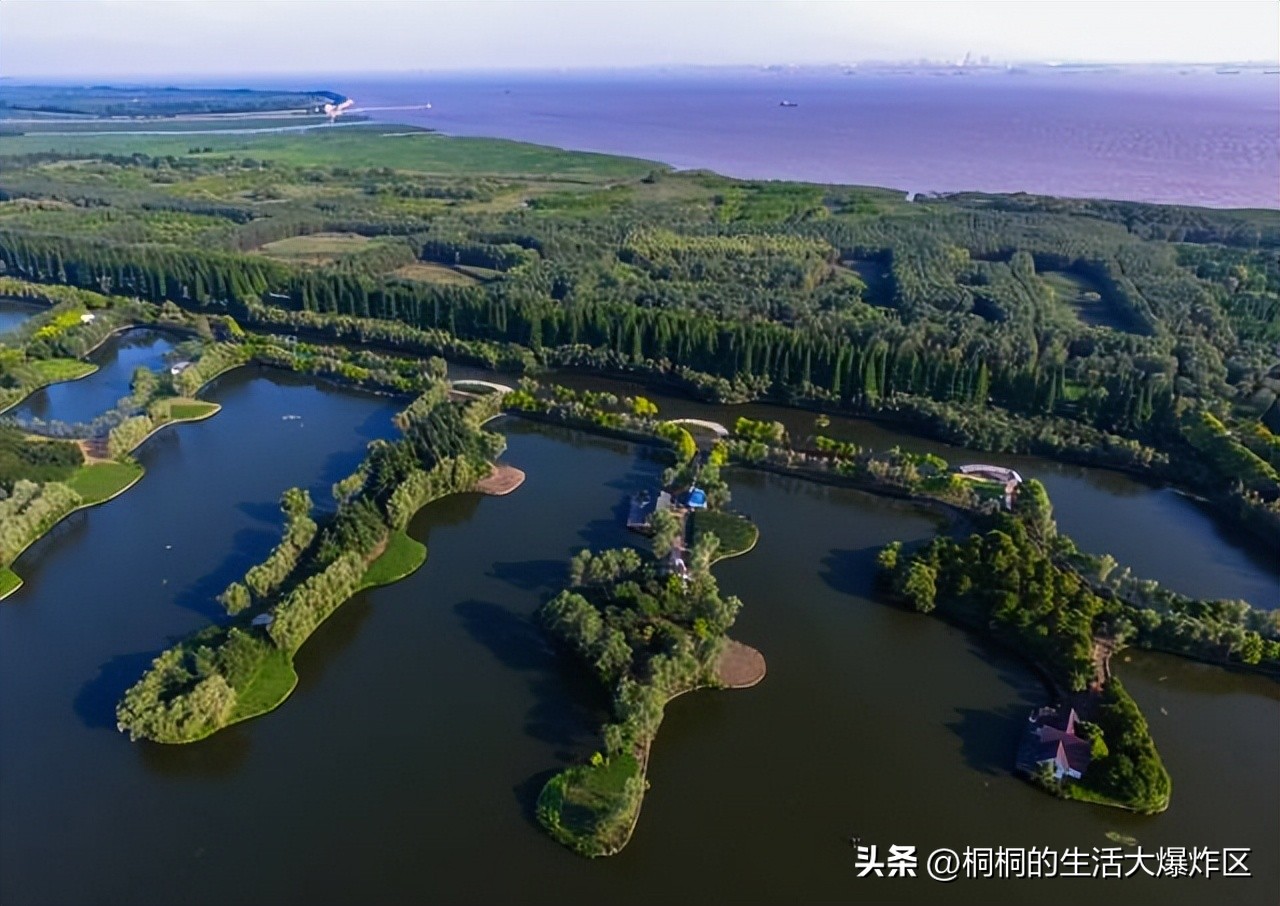 露营地互动项目,广州户外露营地推荐