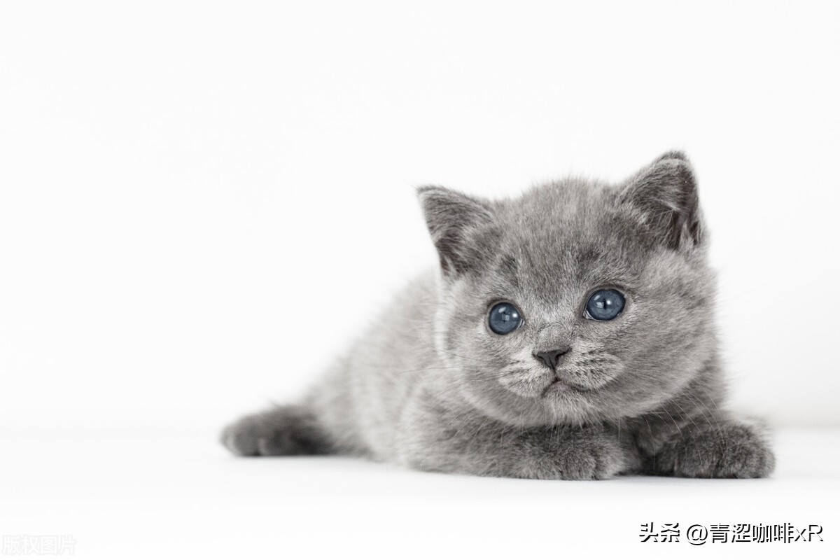 创意情人节礼物次日到,情人节悲催礼物