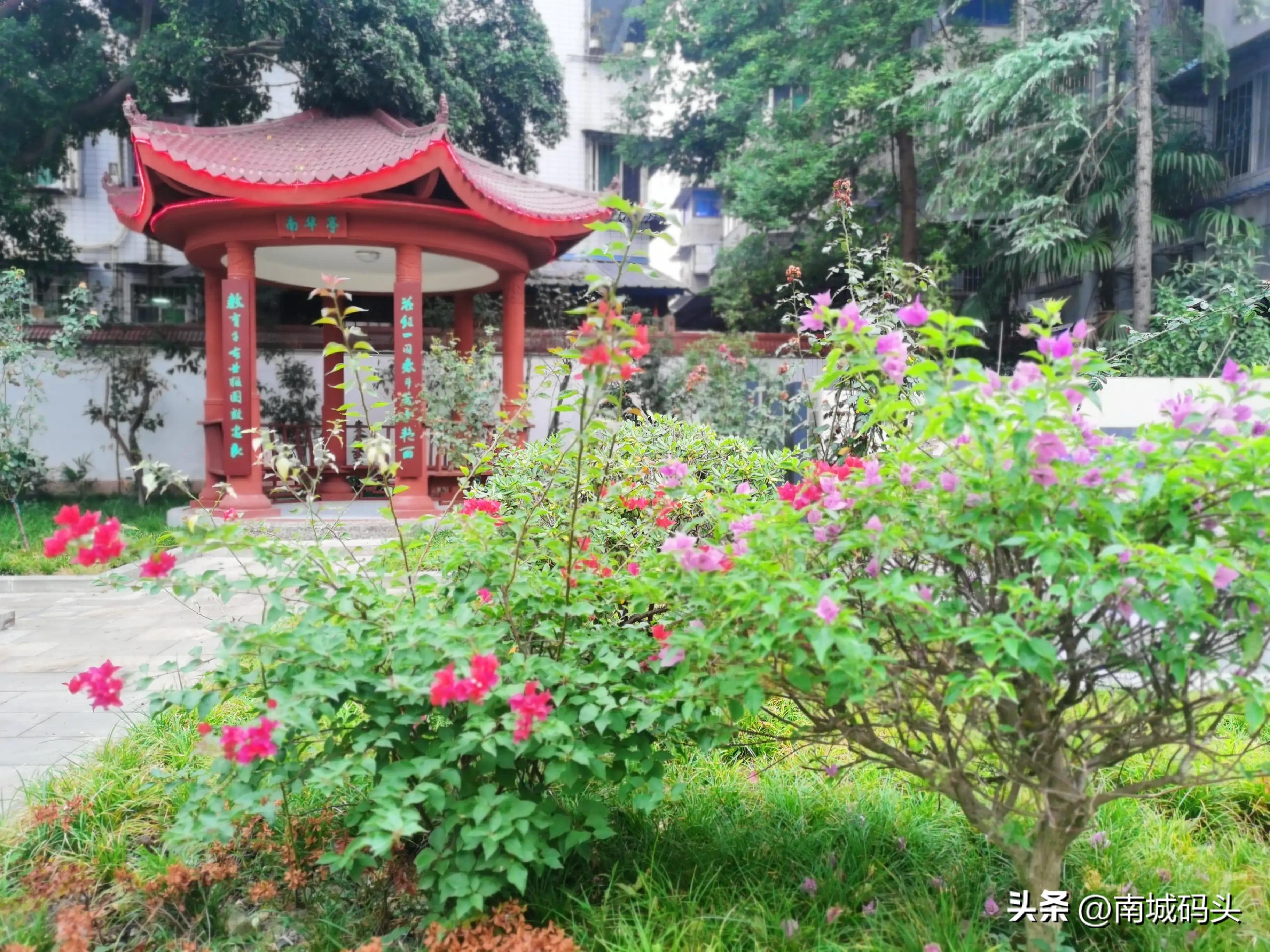 小学生优秀作文旅游,七一建党小学优秀作文