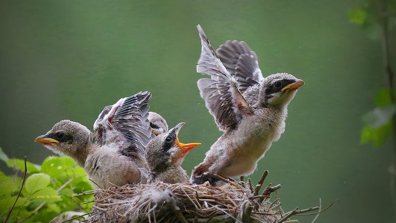 易经上坎下坎,易经关于坎