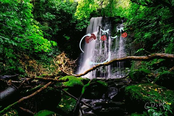 新西兰美得让人窒息的风景,新西兰的风景真的是太美了