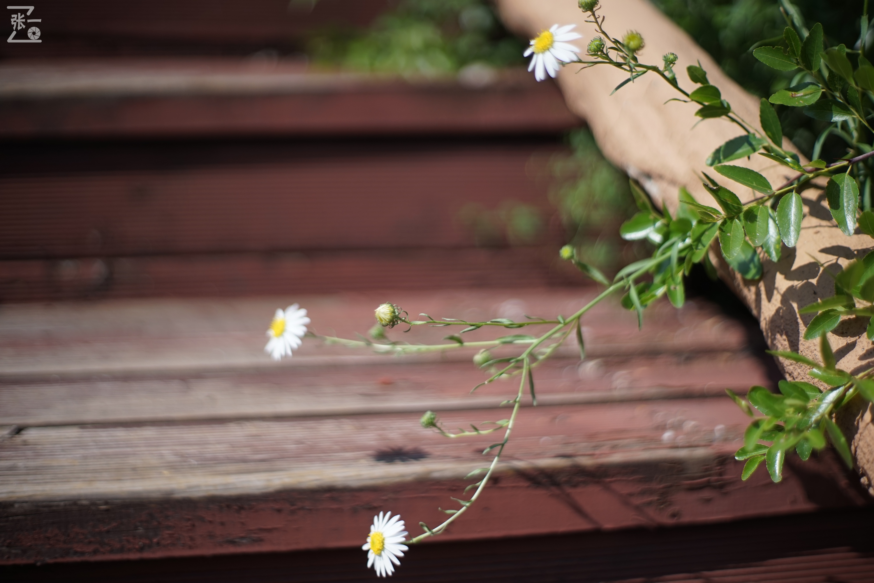 老镜头实拍,老镜头拍北京