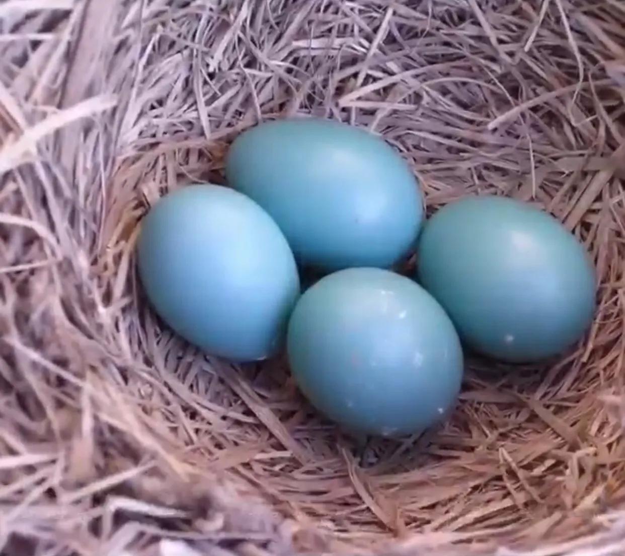 tiffanyco微笑项链,tiffany蒂芙尼手镯明星款