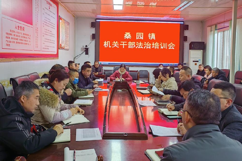 西乡县桑园镇多措并举推进依法行政