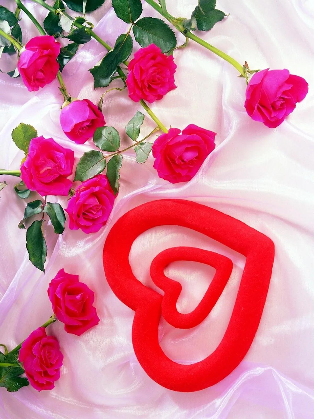 好看的的壁纸高清,好看的壁纸正方形图片