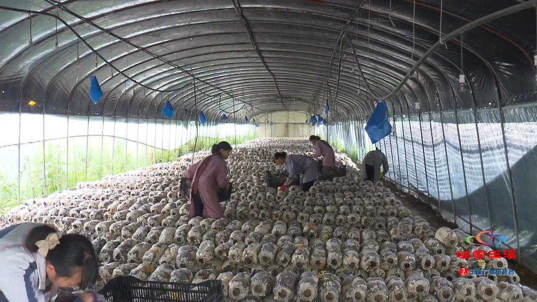 一线调研看发展,一线走访调研