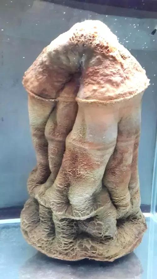 为什么不能太岁头上动土,都说不能在太岁头上动土为什么