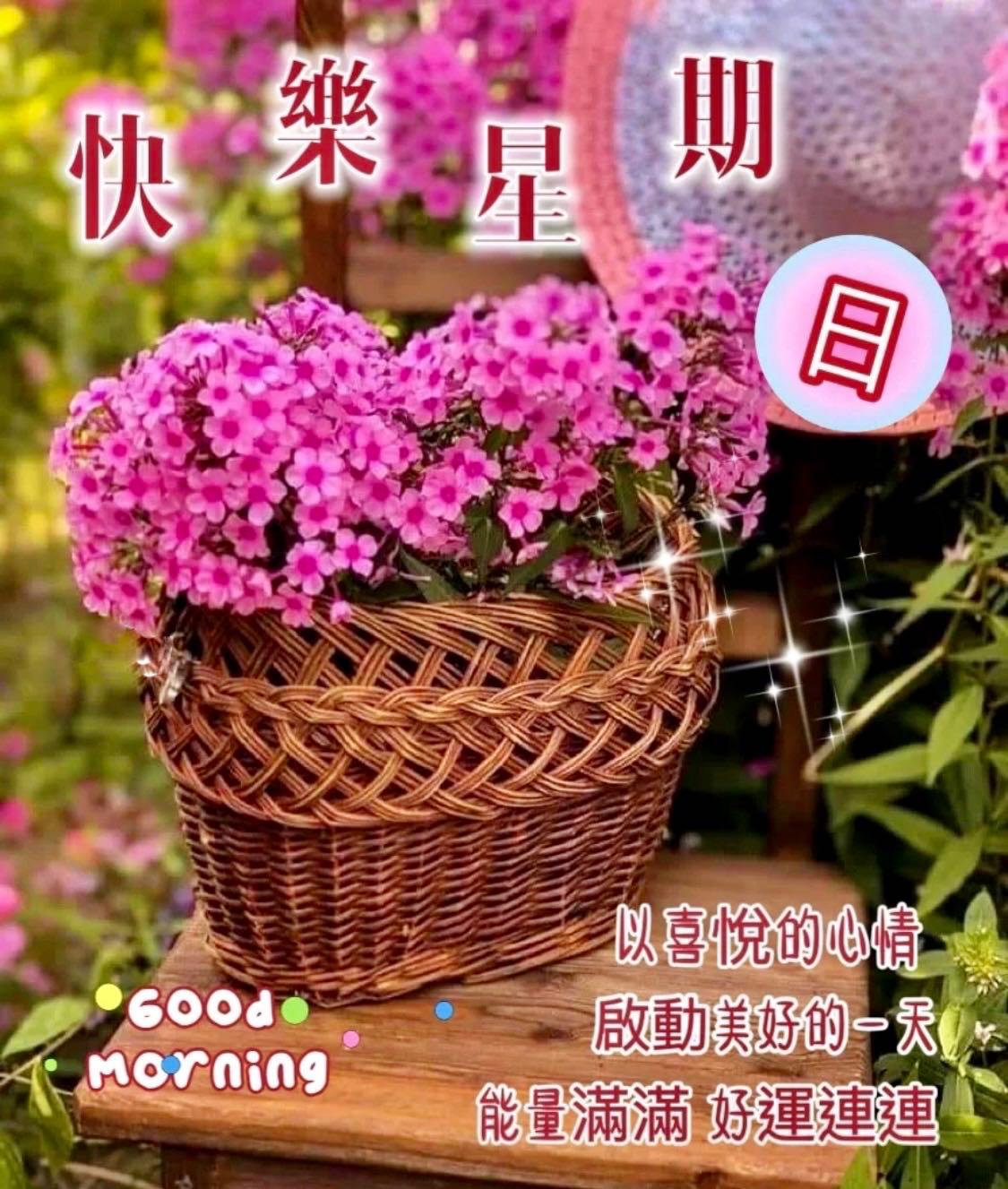 节日快乐照片卡点,节日快乐好好休息图片