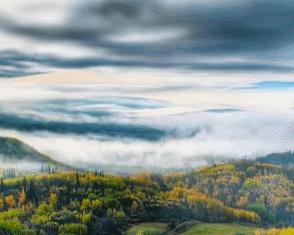 最值得推荐的110寸大屏电视,98寸巨屏电视推荐