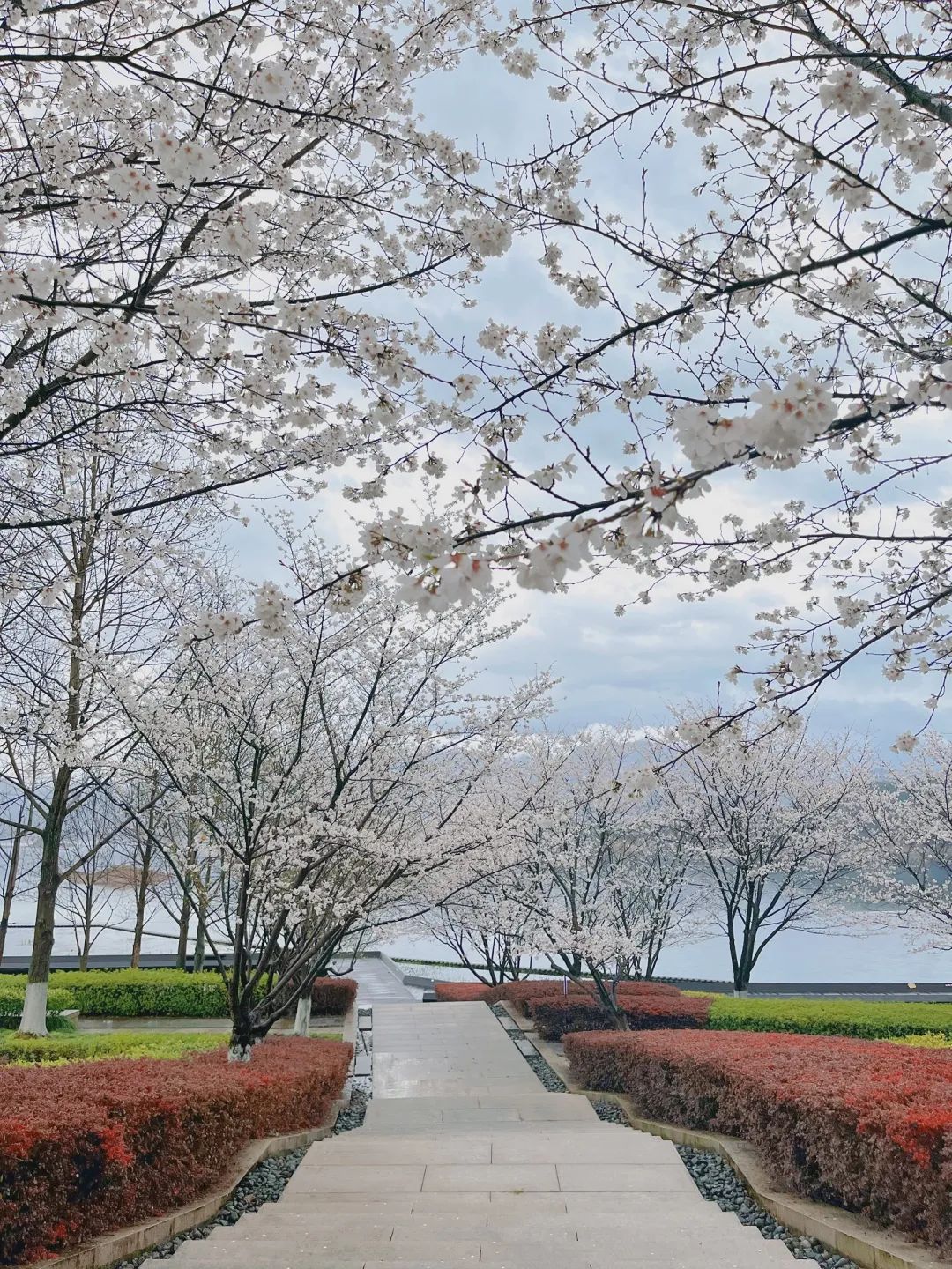 春暖花开时正是游湖赏花季,千岛湖四月赏花季节