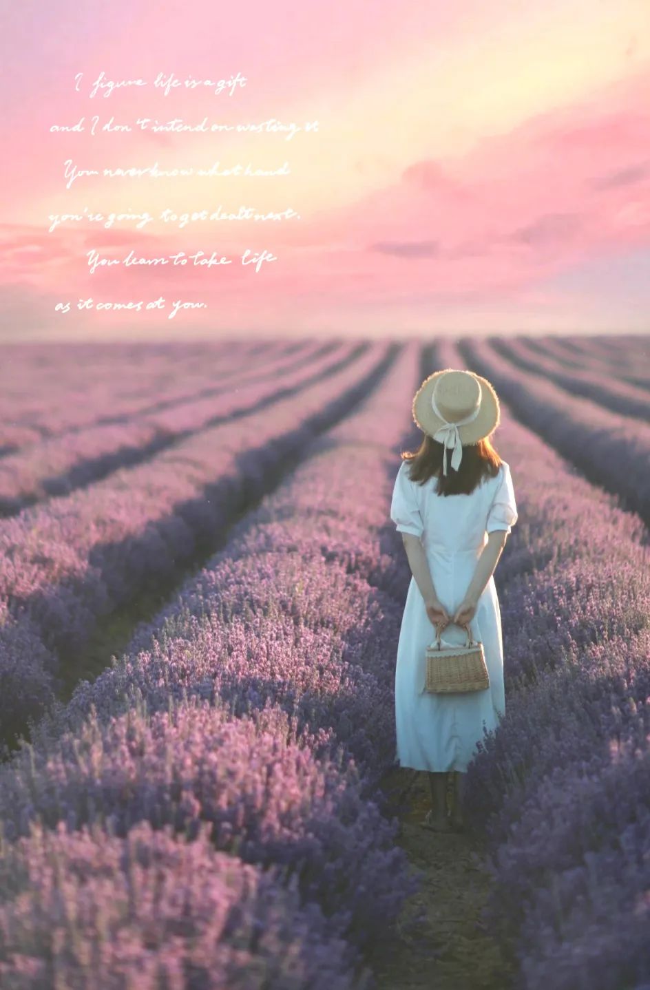 那拉提空中草原雪景照片,大草原的壮丽雪景图