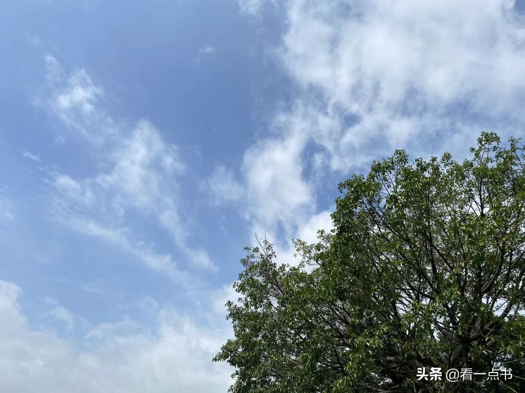 2022年5月总结：学心理学的好处是自我疗愈