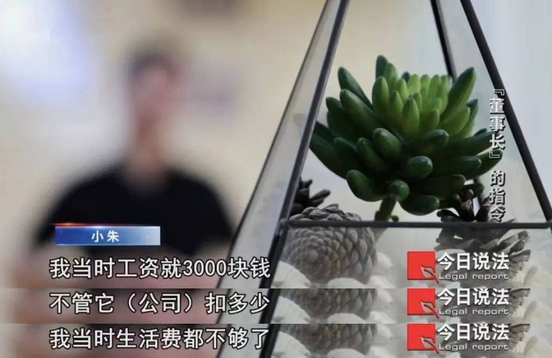 3小时内从公司账户汇出157.6万元，职场新人遭遇电信诈骗，被公司要求承担一半赔偿责任