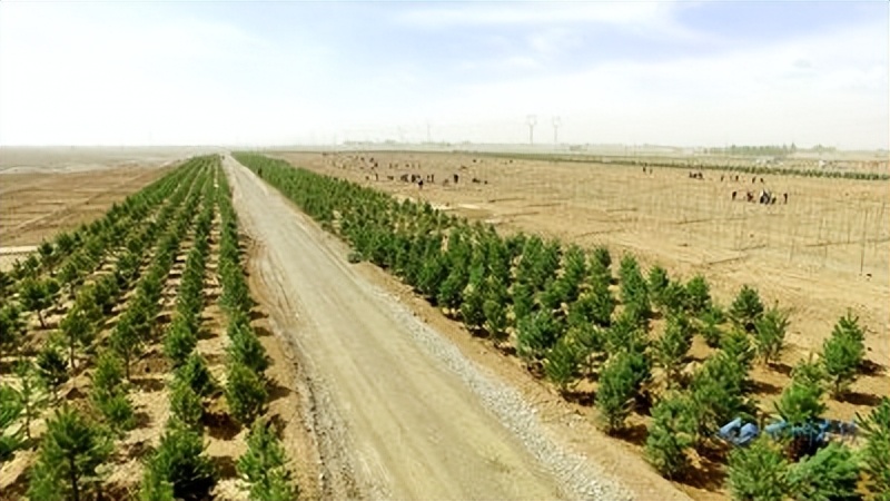 东北巨骗*相贵陈**：与赵本山合作，花182万买手机号，最终锒铛入狱