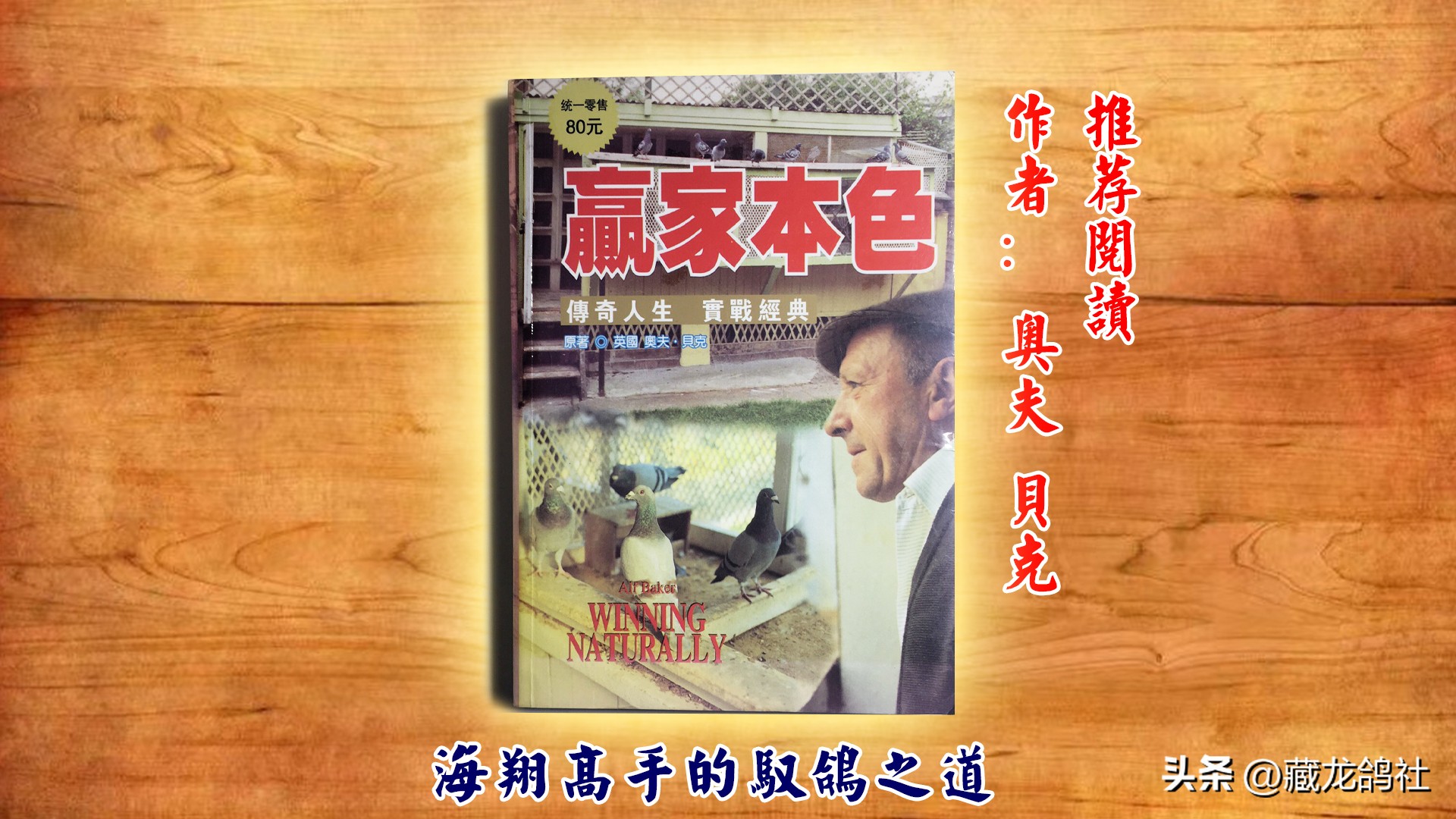 被两度禁赛的杰夫·冯莱尔袒露赛鸽的绝学