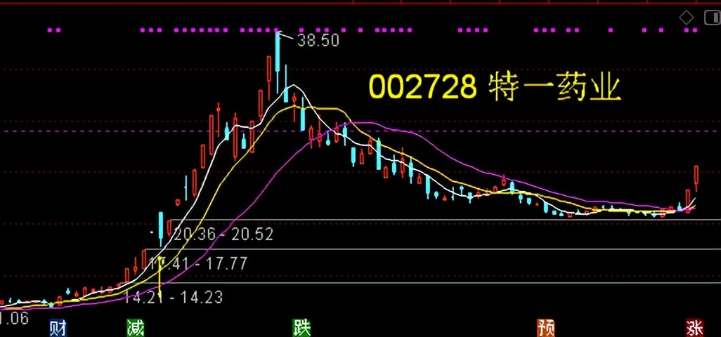 鼎胜新材10转8股派6元 (新瀚新材股票分红)