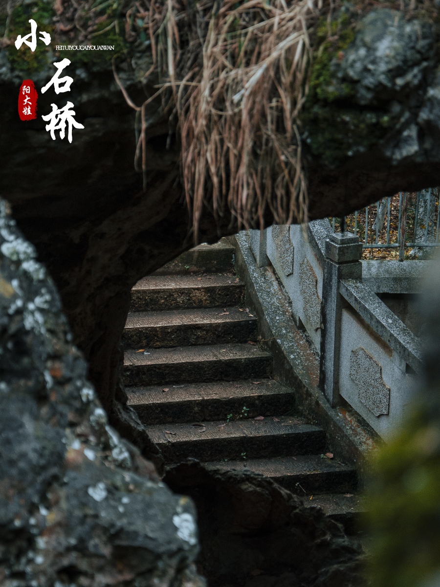 海口世纪公园游玩攻略一日游,昆明海口石城公园路线图