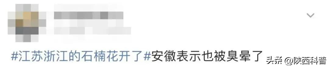 科技之春|“又腥又臭”上热搜！网友：左右“为楠”……专家：其他优点突出，忍耐一下