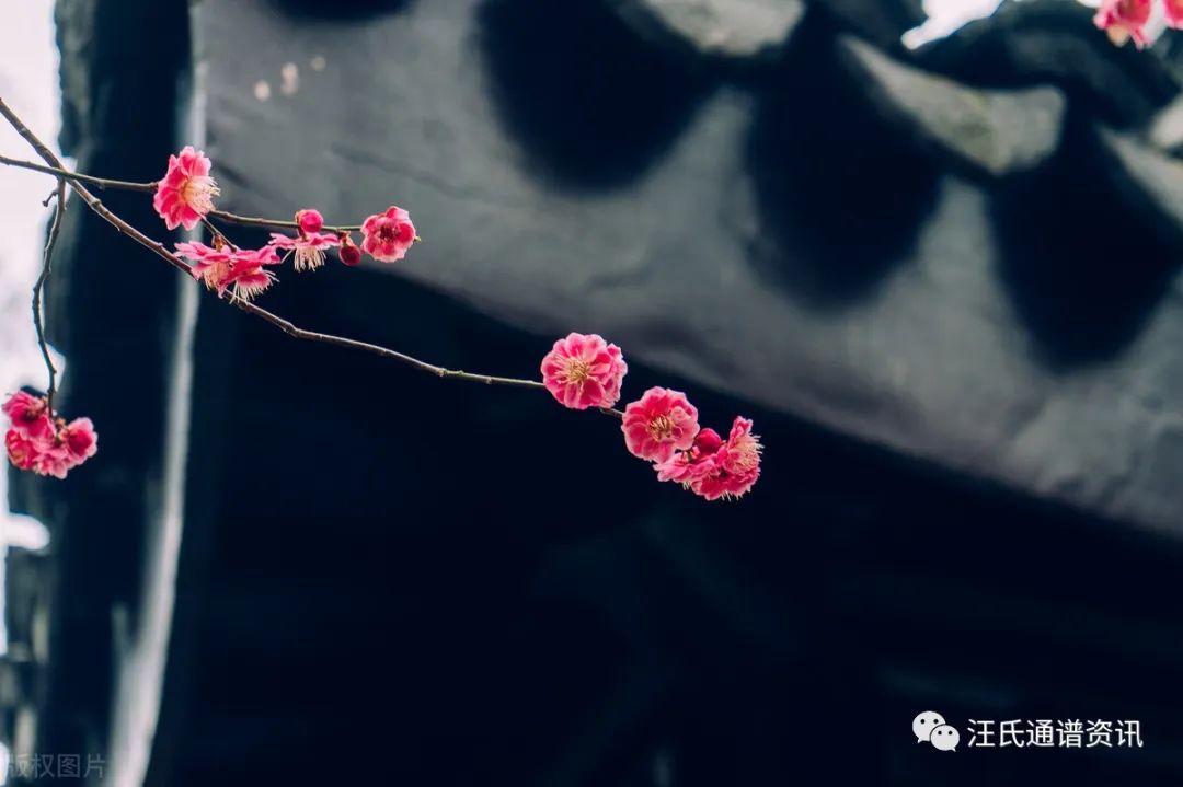 汪氏宗谱大全集,汪氏艺文