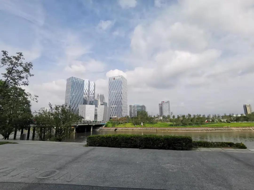 成都锦江区金融城三期白鹭湾,金融城三期三圣乡