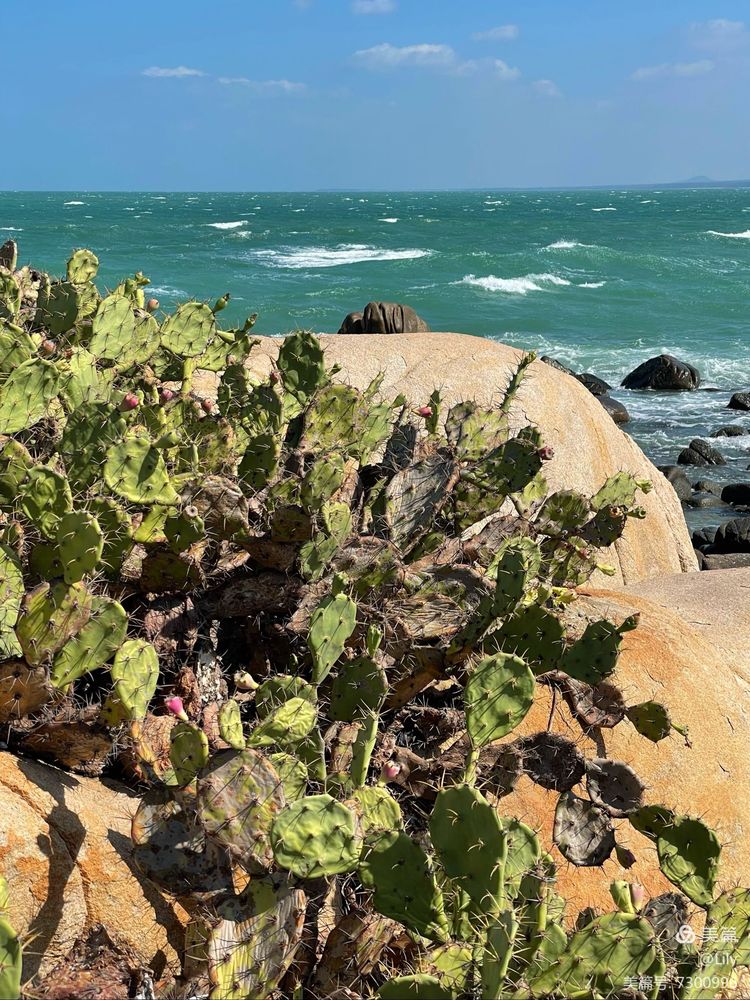 去临高县溜达,去海南溜达一圈