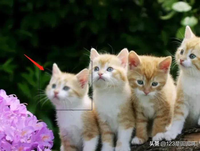 ps如何把模糊的文件变清晰,模糊图片文字变清晰教程ps