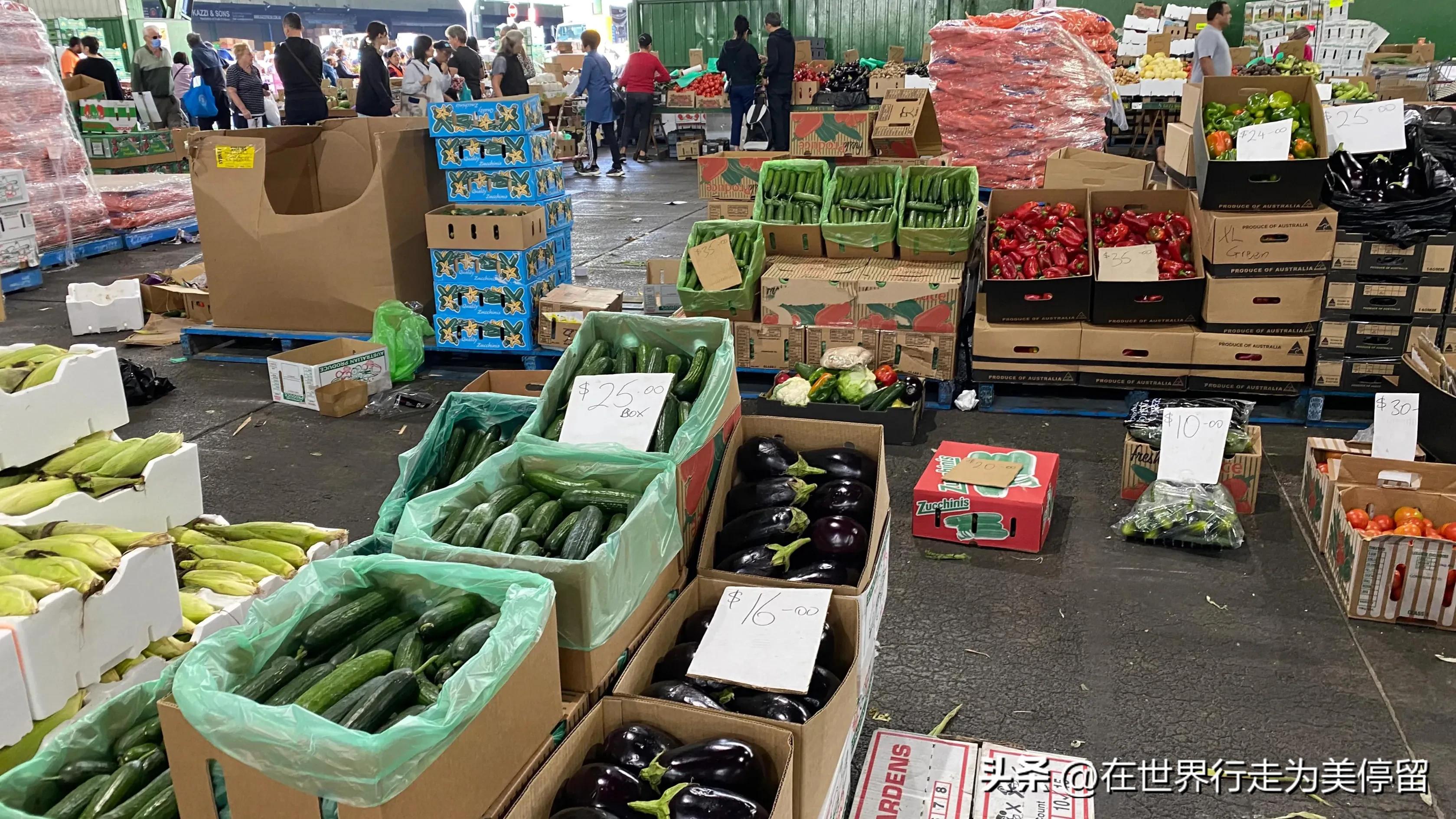 澳洲悉尼蔬菜农贸市场,墨尔本最大水果蔬菜批发市场