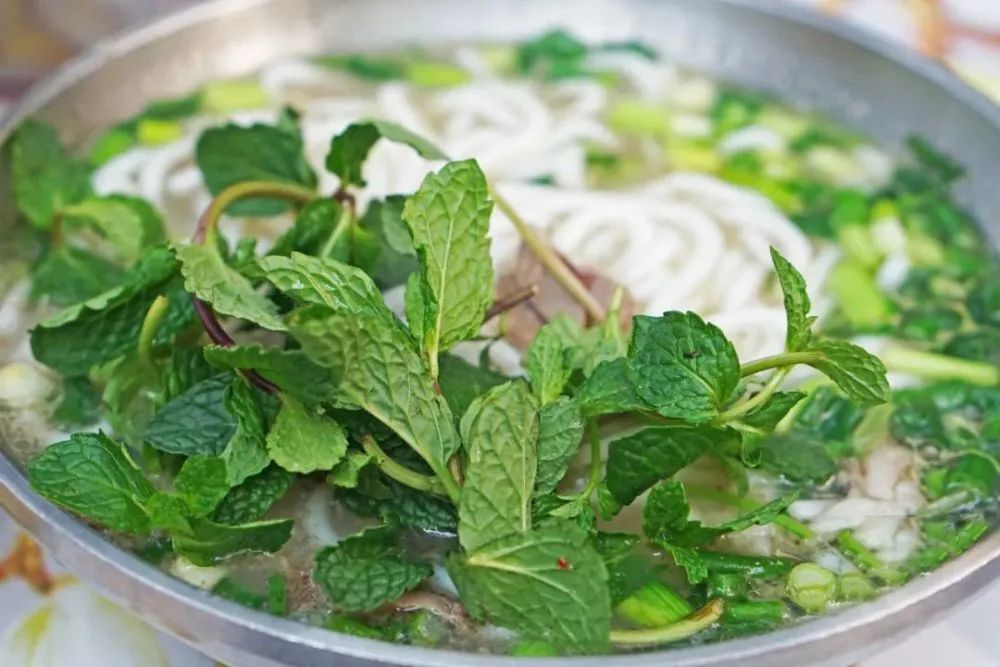 喜欢在这座江南城市里生活,非常喜欢这座自带浪漫的美丽城市