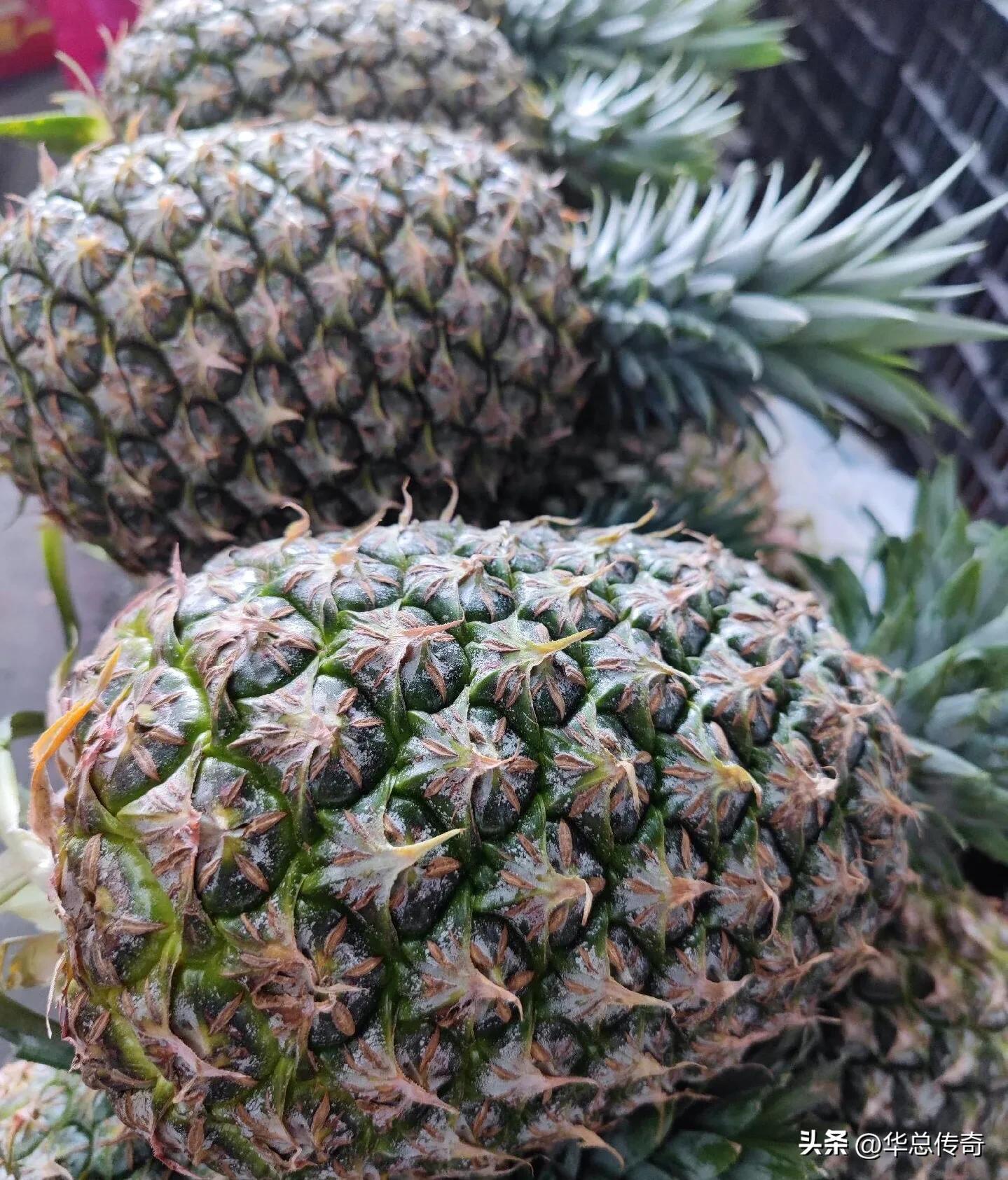 海南的蔬菜水果为什么贵,海南省哪个市的水果最便宜