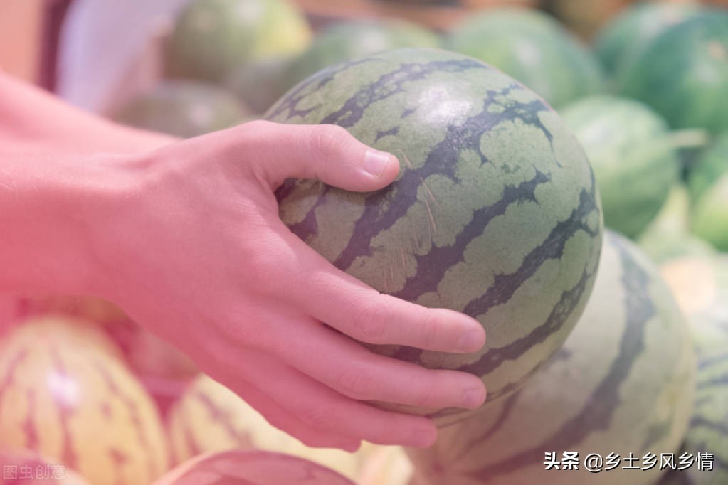 西瓜生熟鉴定口诀,西瓜怎么分辨才又脆又甜