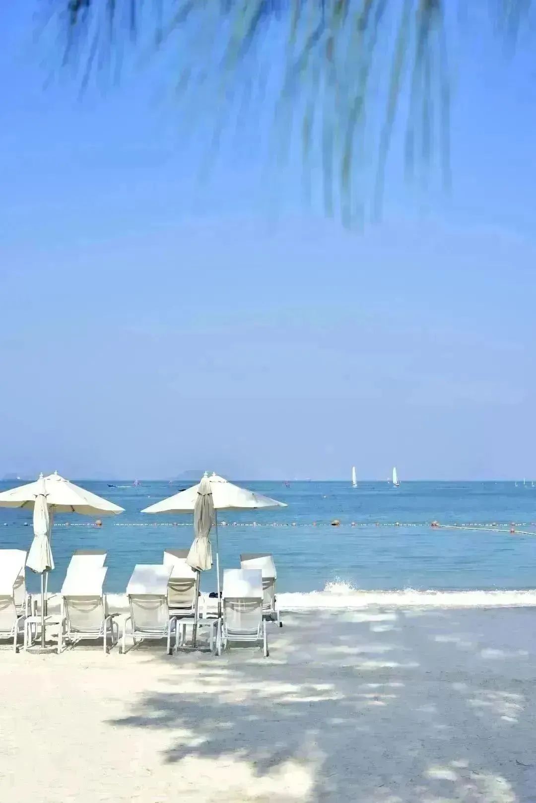 深圳市荔枝公园一日游,深圳2天1夜旅行攻略