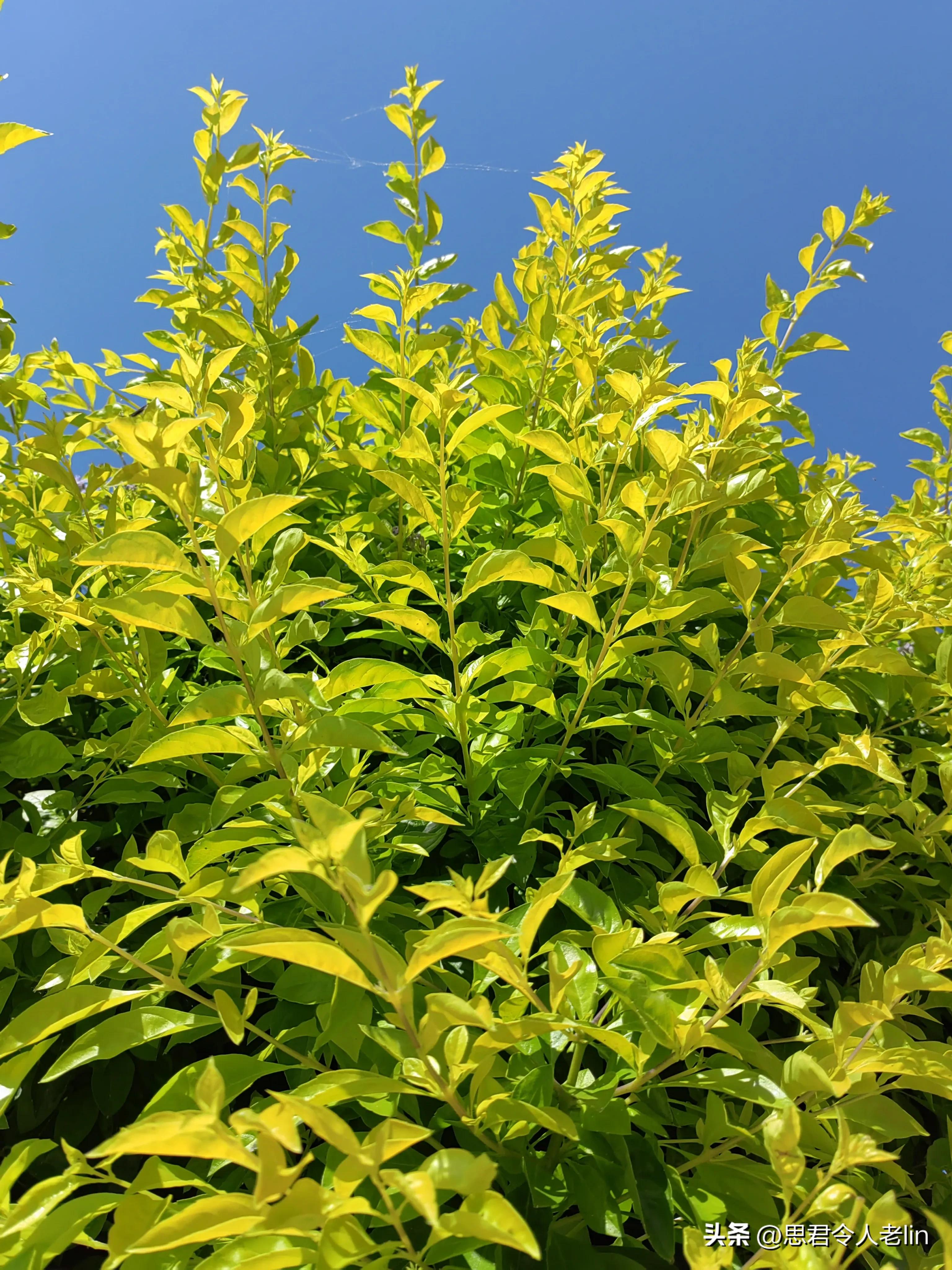 给孩子的诗，适合孩子诵读的经典诗词