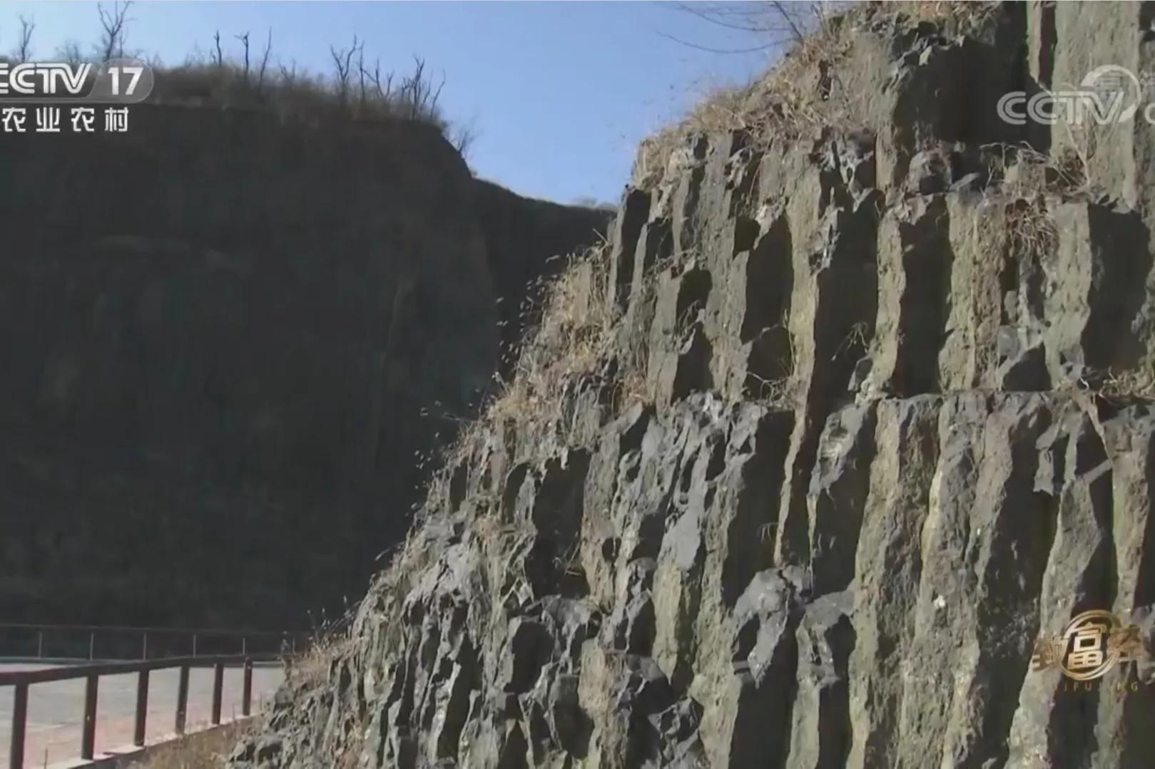 承包荒山致富的例子,美女承包52亩山地